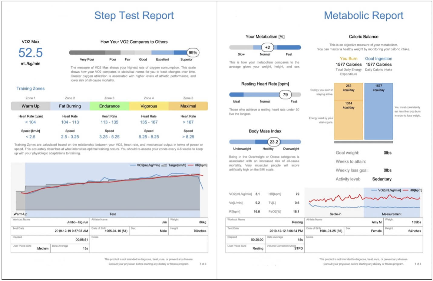 Fitnescity VO2 Max Test